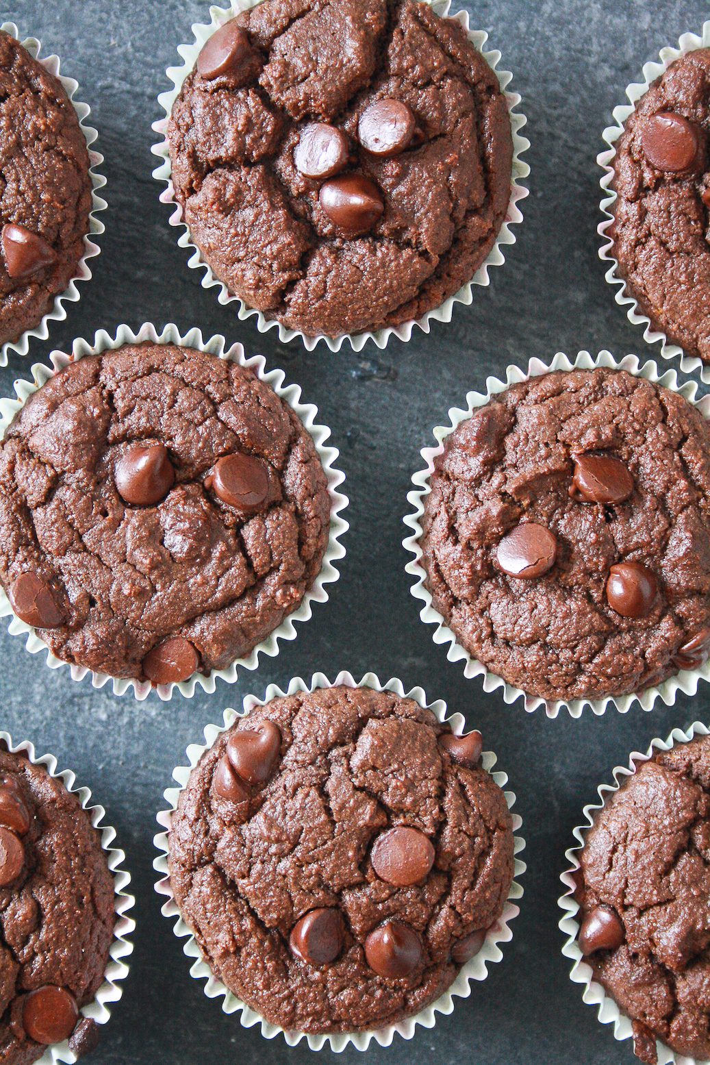 Soft, moist, almost healthy chocolate chip muffins made with coconut flour!