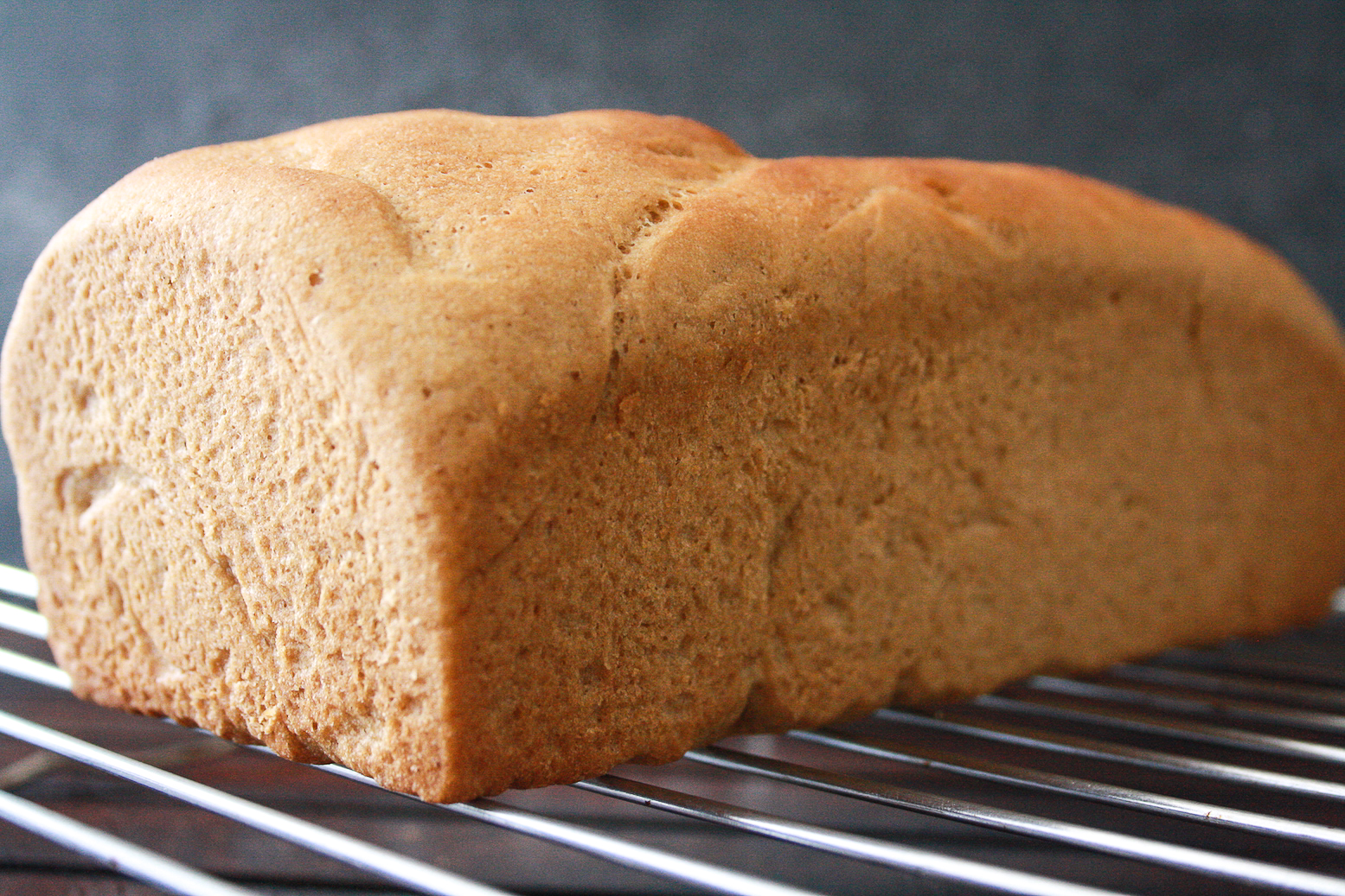 An easy wholewheat bread that's light, chewy and super flavourful!
