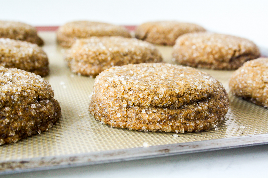 Soft and chewy, festive ginger cookies with cinnamon and molasses!