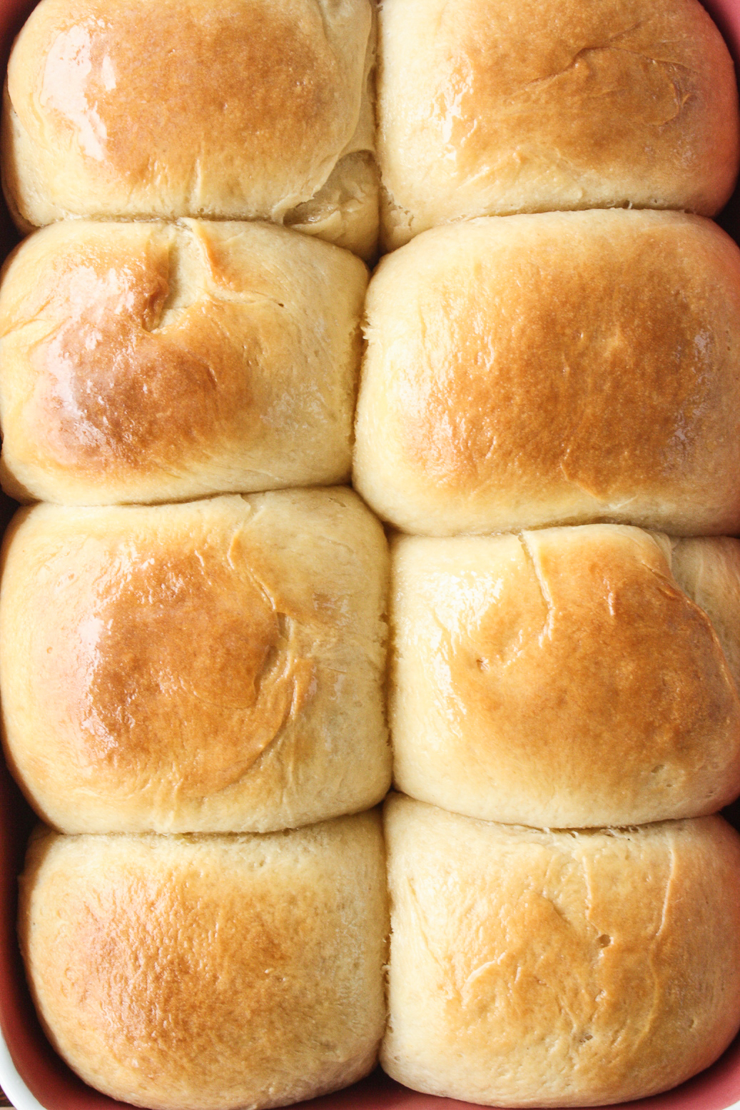 Soft, fluffy homemade rolls without eggs!