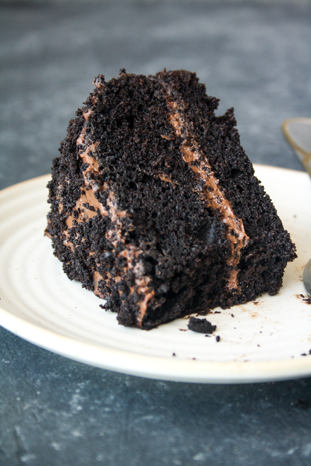 Rich, moist chocolate cake filled with chocolate pudding and covered in cake crumbs!