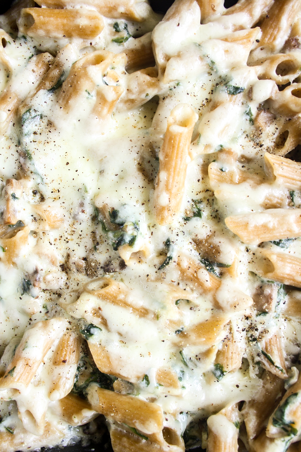 Penne pasta in homemade bechamel sauce with sautéed mushrooms and spinach